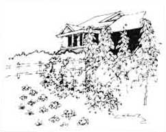 An idealized image of a garden with ample space for everything.